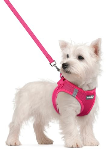 rabbitgoo Dog Harness Small Sized and Leash Set, Step in Soft Light Puppy Vest, Breathable Mesh Pet Harness, Reflective for Safe Easy Walking, Rose Red S