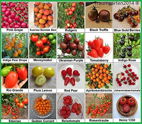 Tomaten Set 2 : TOP Qualität Saatgut aus Deutschland, 20 Sorten, Ohne Gentechnik, 100% samenfest, Tomate Fleischtomate Cherrytomate, Sammlung von Raritäten