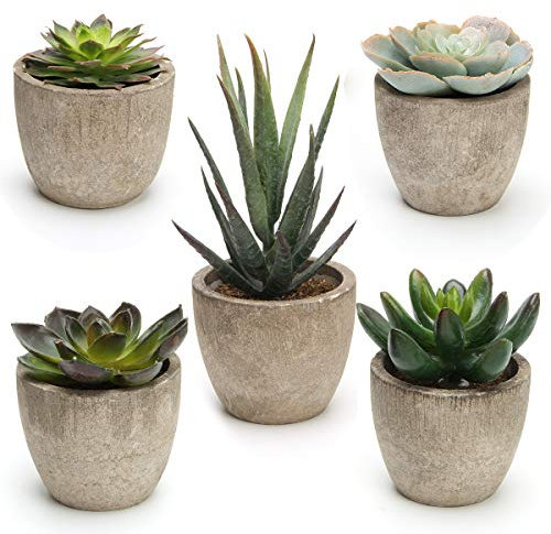 Coitak Piante grasse artificiali in vaso, set di 5 piante grasse decorative assortite in vaso, finte piante di cactus finte con vaso