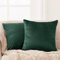 Deconovo Kissenhülle Kissenbezug Samt Kissenbezüge Sofa Zierkissenbezüge Weich Design Dekor Schlafzimmer Wohnzimmer Couch Büro, 60x60 cm, Waldgrün, 2er Set