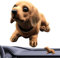 Poupangke Wackelkopf Hund für Auto | Armaturenbrett Wackelhund Harz Dackel Hund Figur Desktop Ornament für Schlafzimmer, Hundeliebhaber, Desktop-Display