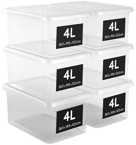 AHIOVA 6 Aufbewahrungsboxen mit Deckel 4L – 100% Transparent – Stapelbare Kunststoffboxen – Verschlussklammern – BPA-frei (4Liter)