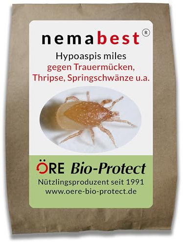nemabest Hypoaspis miles – 2000 Raubmilben zur biologischen Bekämpfung von Trauermücken, Thripsen, Wurzelläusen und Springschränzen