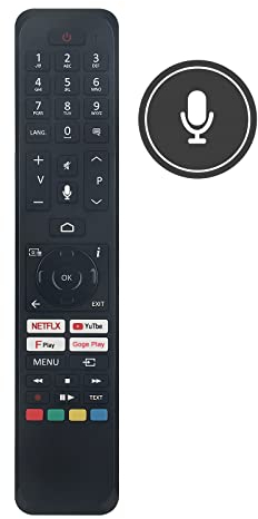 VINABTY Telecomando di ricambio per JVC RC45161 LT-24CA120 LT-32CA120 LT-39CA120 per Panasonic RC45161 TX-43HX700B Android HD TV per Toshiba RC45161 10125374 HD TV per Hitachi RC45161 55HH AK6150 U TV