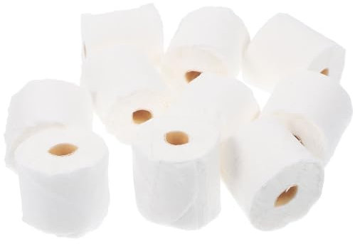Vaguelly Miniature Paper Towel Roll Set 10pcs Miniature Tissue for Dollhouse Bathroom Accessory Decoration