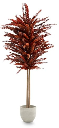 Maia Shop Eucalipto Preservado - Eucalipto Natural, Árbol Eucalipto Preservado Naranja Baby 180 cm con Hojas Secas, Decoración Hogar, Plantas Naturales Interior