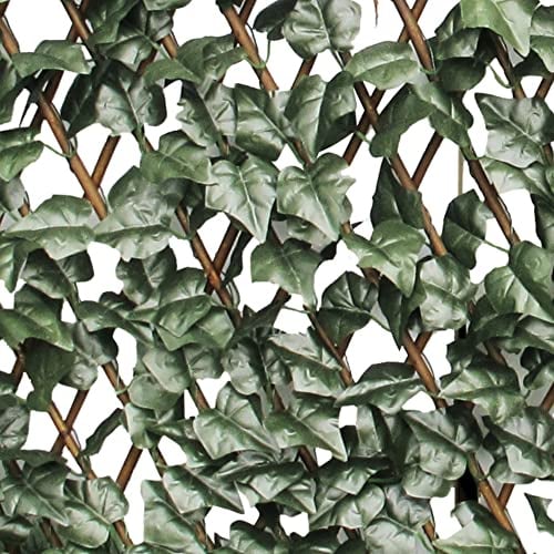Treillage extensible-1 x 2 c MT/feuilles clôture de balcon jardin extérieur 790/27