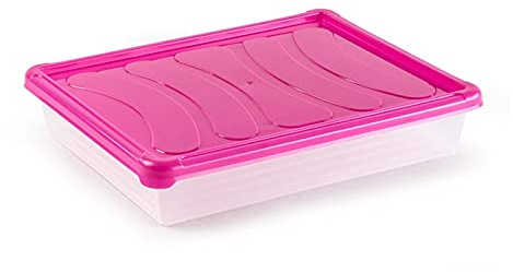 Tradineur - Bandeja rectangular para frigorífico, base transparente y tapa en color pastel aleatorio, capacidad 4 litros, 6,5 x 34 x 27 cm