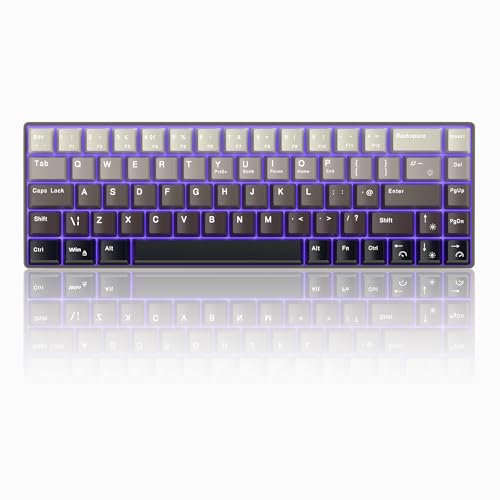 Gasket Portable 60% Gaming Mechanical Keyboard,Gradient Caps Compact 68 Keys Wired Office Keyboard with Silencing Cotton with Blue Whale Switch for Windows Laptop PC Mac(Gray Gradient)