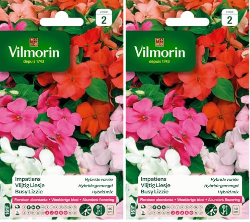 Vilmorin 5320142 Impatiens hybride variée Multicolore 9 x 0.5 x 16 cm (Lot de 2)