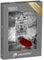 Puzzle 1000 Teile XXL „Roter Regenschirm auf der Tower Bridge in London, schwarz-weiß“ – aus der Puzzle-Kollektion Tower Bridge