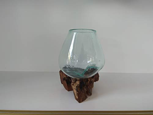 Glass On Teak Driftwood Molten Sculptural Bowl/Plant Terrarium Vase