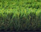 Hochwertige Kunstrasen Rasenteppich Soft für Garten - 200x150 cm - Florhöhe 33 mm - UV-Garantie 7 Jahre (DIN 53387) - Gewicht ca. 2867 gr/m²