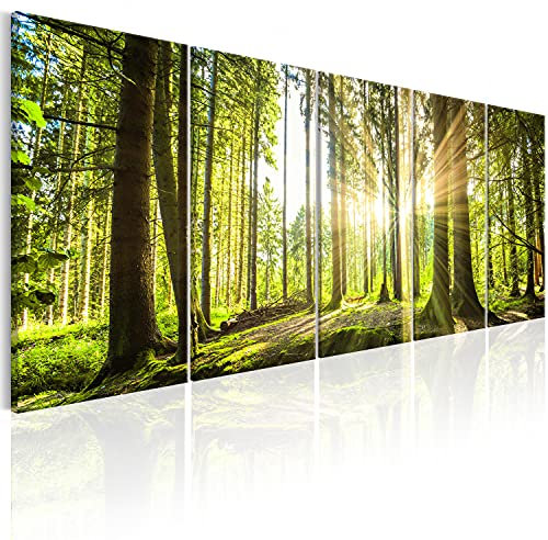 B&D XXL Acrylglasbild Wald 100x40 cm 5 Teilig Wandbild auf Acryl Glasbilder Kunstdruck Moderne Acrylglas Platte Wanddekoration Geschenke Heimdekoration Glasbild - Landschaften Natur Panorama Baume