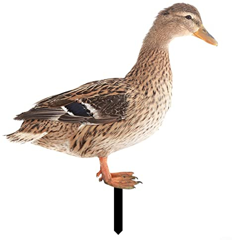 PETSTIBLE Ente Gartenstecker Gartendekoration Huhn Gartenfiguren Gartenstatue Dekor (B)