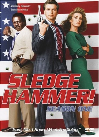 Sledgehammer: First Season [DVD] [1987] [Region 1] [US Import] [NTSC]