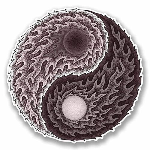 2 x 10 cm Yin Yang Vinyl-Aufkleber für Laptop Yoga Meditation Ying Karate #9778 (10 cm breit x 10 cm hoch)