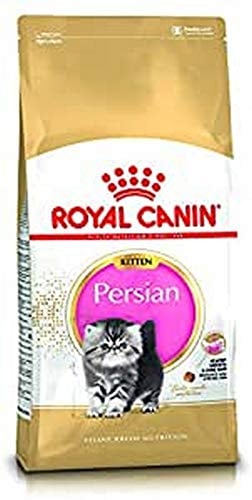 Royal Canin Katzenfutter Feline Kitten Persian 32, 4 kg, 1er Pack (1 x 4 kg), 660 g (12er Pack)