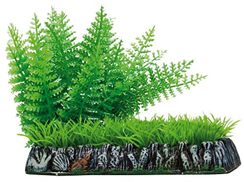 ICA AP1202 Helecho con Césped de Aquatic Plants Plástico