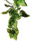 Exo Terra Terrarium Plant Amapallo Shrub Plastic Large pour Reptile/Amphibien