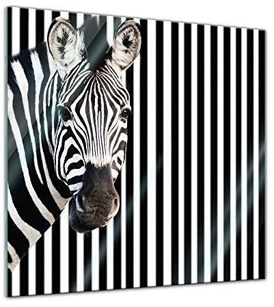 Bilderdepot24 Glasbild - Zebra vor einem gestreiften Hintergrund - 50x50 cm - Deko Glas - Wandbild aus Glas - Bild auf Glas - moderne Bilderdepot24 Glasbilder - Glasfoto - Echtglas