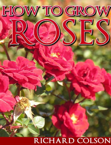 How To Grow Roses (English Edition)