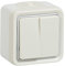 Legrand Plexo LEG69916 - Interruptor doble o conmutado (de superficie, completo), color blanco