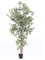 Künstlicher Ficus Benjamini 150cm mit gedrehten Naturstämmen und 840 grün-weißen Blätter - Ficus Benjamina Kunstbaum mit Echtholz Stämmen