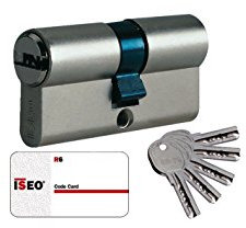 Iseo R6 – Cylindre de sécurité nickelé de lame longue de 30 x 30 mm