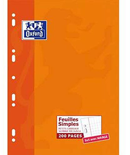 Lot de 5 Etui carton, 200 pages, feuillets mobiles, 90g perforés, Format 21 x 29,7 cm (A4), Quadrillé 5 x 5, blanc