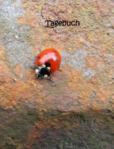 TageBuch - Marienkäfer: Genug Platz für dein Leben - fast DIN A4, Diary, Notizbuch, liniert