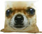 Mars & More fullcolour Kissen Chihuahua 50x50cm 50x10x50cm