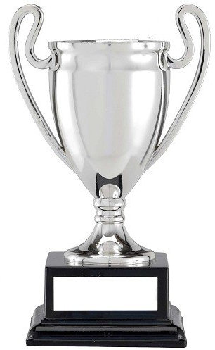 8inch Silver Cup with Handles Engraving Included