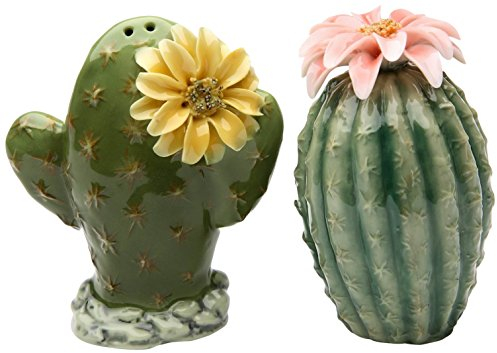 StealStreet ss-cg-20893 3.13 Pintado par de Flores de Cactus salero y pimentero