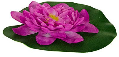 Bermuda Large Floating Pond Lily - Purple