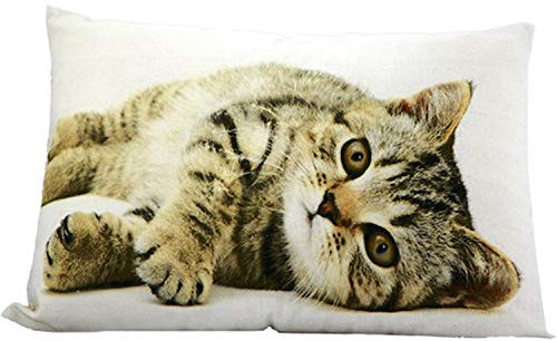 Mars & More Kissen - Tabby Katze liegend (halbe Größe) - 35 x 50 cm - inkl. Füllung