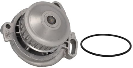 Hepu P526 Wasserpumpe