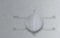 Bosch Oven Knob Ss 00631885