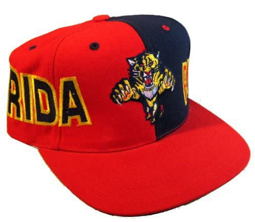 Vintage Snapback Cap American Needle Florida Panthers, mehrfarbig