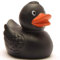 DUCKSHOP| Papera di gomma Merle nero |Anatra de goma | L: 7,5 cm