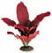 Aqua One Silk Plant Amazon Red - 30cm