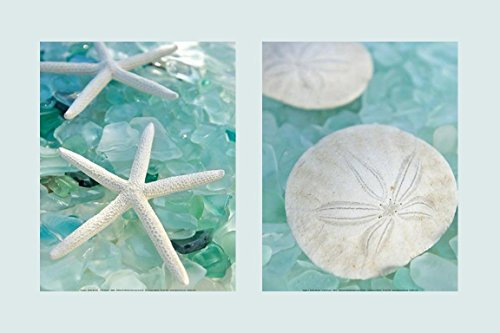 Buyartforless Sea Glass Set 1+3 by Alan Blaustein 14x11 Photographs Art Print Poster Wall Decor Coastal Beach Seaside Ocean