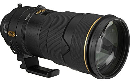 Nikon AF-S Nikkor 300 mm 1:2.8G ED VR II (inkl. HK-30)