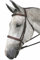 JPC Equine Couture Emma Satteltasche, Damen, Australian Nut, Horse