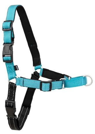 PetSafe Deluxe Easy Walk Harness - Trainer-Trusted Dog Chest Harness with Breathable Martingale Loop Design - Helps Stop Pulling with No Choking & Gagging - Large - Ocean