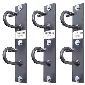 Hammer Head Anchor Gym CORE Home Gym (Consists of Three H2 Units; Bands and Straps not Included)