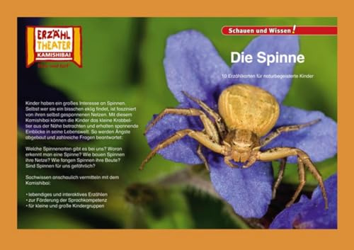 Die Spinne / Kamishibai Bildkarten: 10 Fotobildkarten für das Erzähltheater