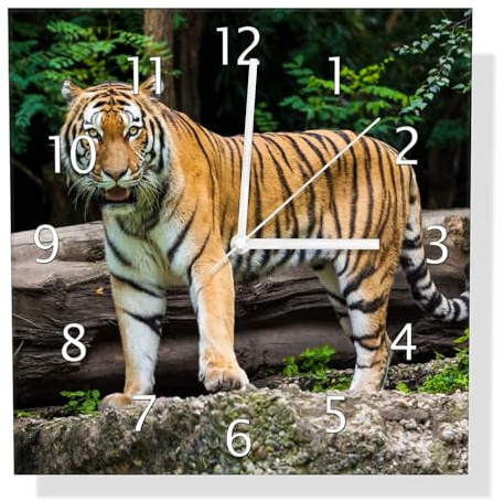 Wallario Design-Wanduhr Blick des Tigers aus Glas, Motiv-Uhr Größe 30 x 30 cm, weiße Zeiger