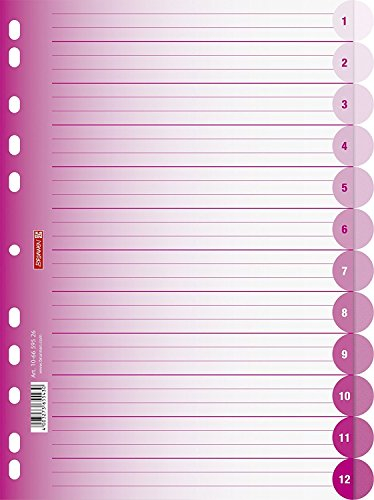 Brunnen 1066595 Ringbuchregister Colour Code für Ordner und Ringbücher, aus PP, für A4, 12 Tabs (12 Tabs, pink | 10er Packung)