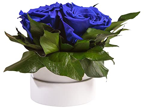 ROSEMARIE SCHULZ Heidelberg Infinity Rosenbox weiß rund konservierte Blumen Blau- 3 Infinity Rosen Durchmesser 15 cm - Geschenkidee für Frauen (Blau, Medium)